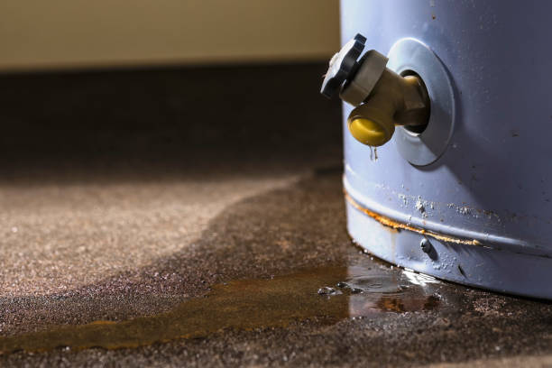 Best Flooded house restoration  in Corydon, IA