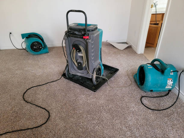 Best Water damage cleanup near me  in Corydon, IA