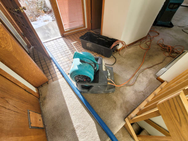 Best Flood restoration services  in Corydon, IA