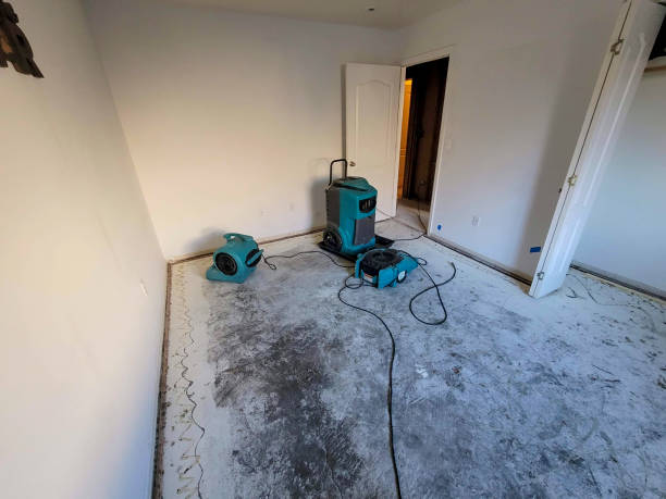 Best Mold removal after water damage  in Corydon, IA