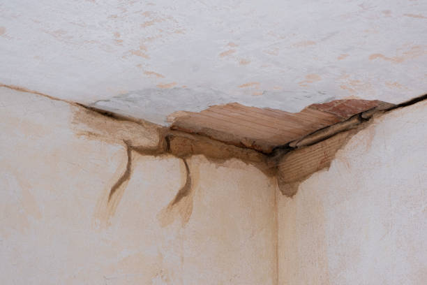 Best Residential water damage restoration  in Corydon, IA