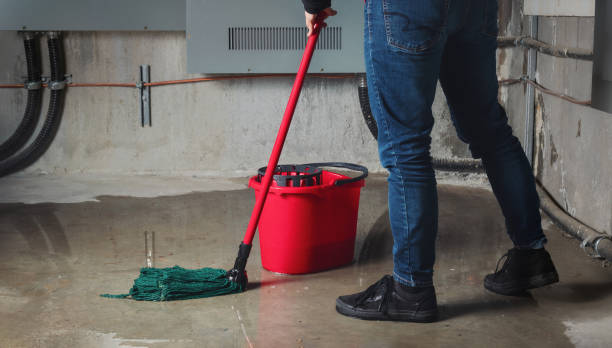 Best Fire Damage Restoration  in Corydon, IA