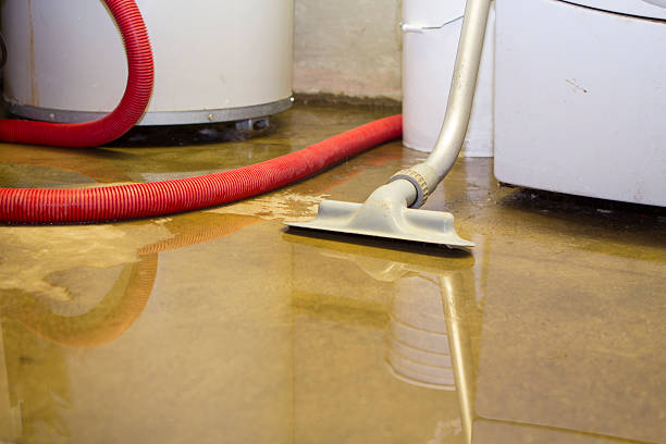 Best Fire Damage Restoration  in Corydon, IA